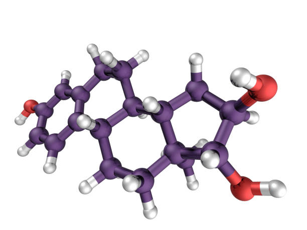 A model of a molecule of estriol, one of several estrogen steroid hormones produced by the sex glands in mammals.  Isolated on white.